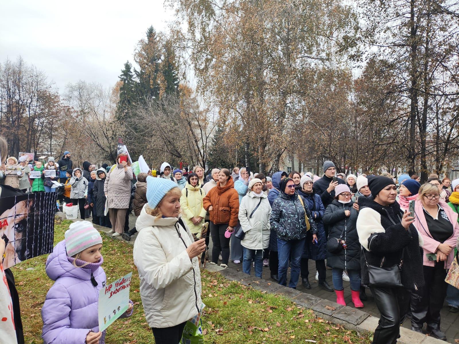 Фото «Всё живое хочет жить!»: сотни новосибирцев вышли на митинг против закона об умерщвлении бездомных собак. Фоторепортаж 2